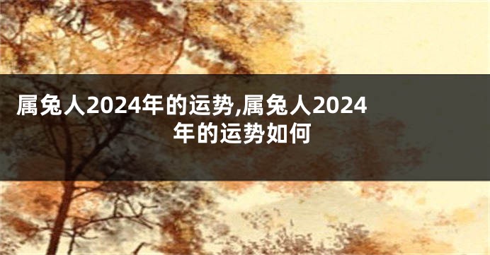 属兔人2024年的运势,属兔人2024年的运势如何