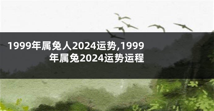 1999年属兔人2024运势,1999年属兔2024运势运程