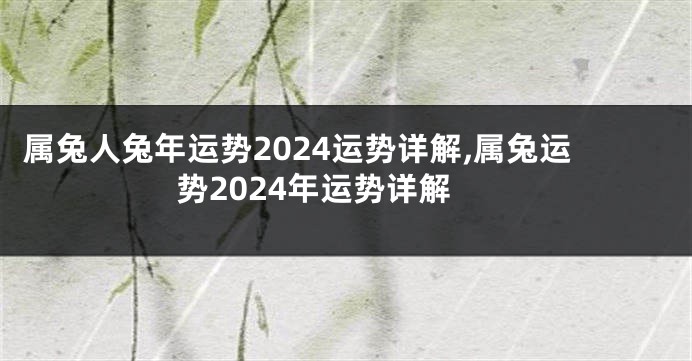 属兔人兔年运势2024运势详解,属兔运势2024年运势详解