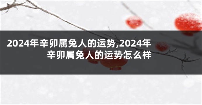 2024年辛卯属兔人的运势,2024年辛卯属兔人的运势怎么样