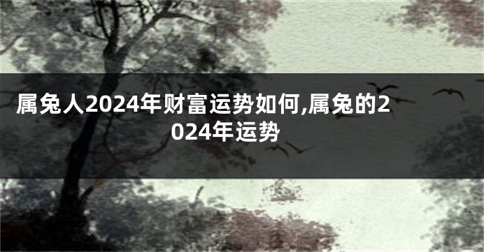 属兔人2024年财富运势如何,属兔的2024年运势