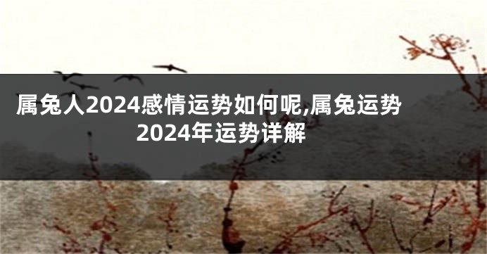 属兔人2024感情运势如何呢,属兔运势2024年运势详解