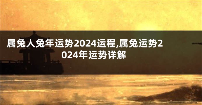 属兔人兔年运势2024运程,属兔运势2024年运势详解