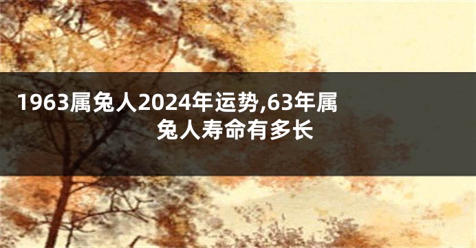 1963属兔人2024年运势,63年属兔人寿命有多长