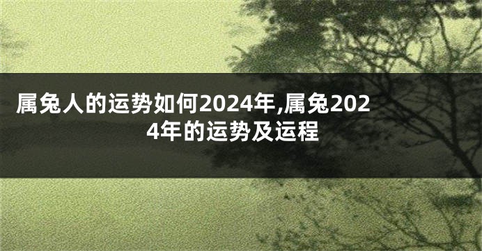 属兔人的运势如何2024年,属兔2024年的运势及运程