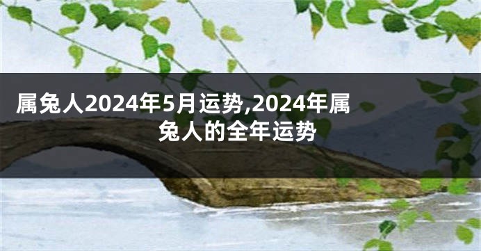 属兔人2024年5月运势,2024年属兔人的全年运势