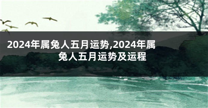 2024年属兔人五月运势,2024年属兔人五月运势及运程