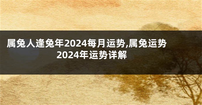 属兔人逢兔年2024每月运势,属兔运势2024年运势详解