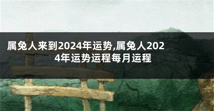 属兔人来到2024年运势,属兔人2024年运势运程每月运程