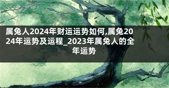 属兔人2024年财运运势如何,属兔2024年运势及运程_2023年属兔人的全年运势