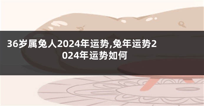 36岁属兔人2024年运势,兔年运势2024年运势如何