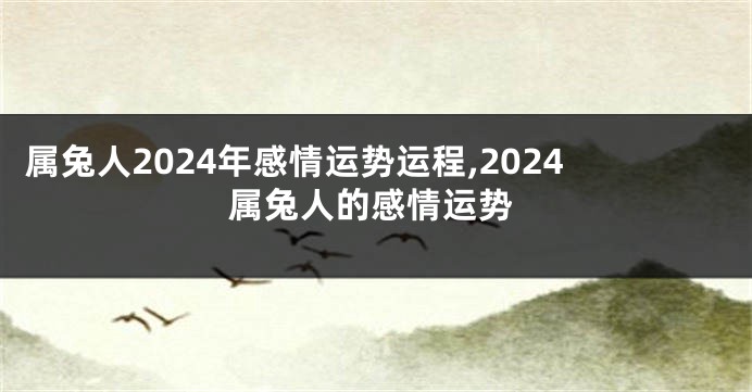 属兔人2024年感情运势运程,2024属兔人的感情运势