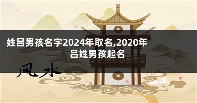 姓吕男孩名字2024年取名,2020年吕姓男孩起名