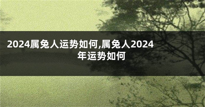 2024属兔人运势如何,属兔人2024年运势如何