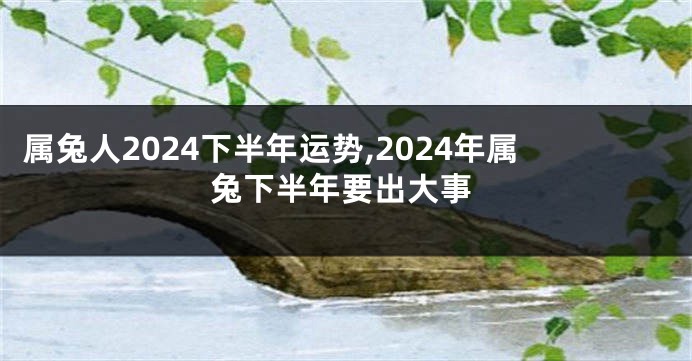 属兔人2024下半年运势,2024年属兔下半年要出大事