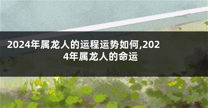 2024年属龙人的运程运势如何,2024年属龙人的命运