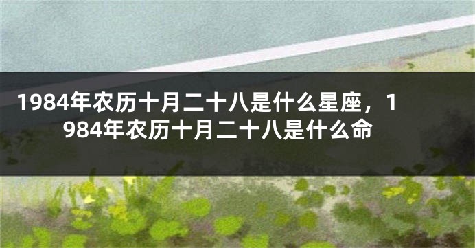 1984年农历十月二十八是什么星座，1984年农历十月二十八是什么命