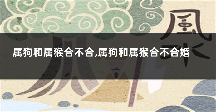 属狗和属猴合不合,属狗和属猴合不合婚