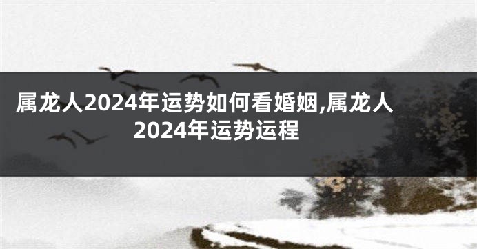 属龙人2024年运势如何看婚姻,属龙人2024年运势运程