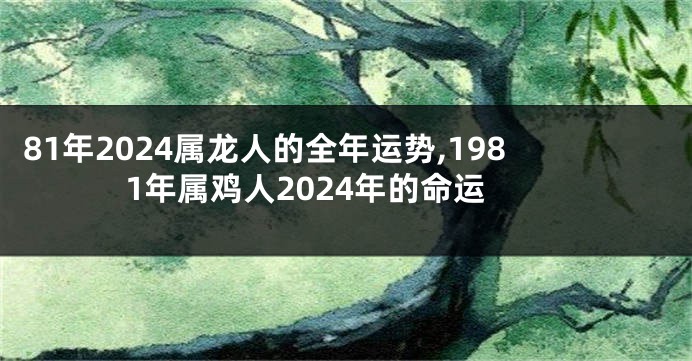 81年2024属龙人的全年运势,1981年属鸡人2024年的命运