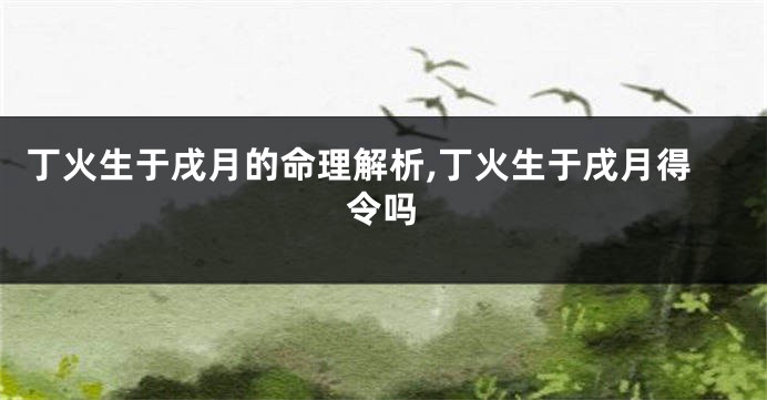 丁火生于戌月的命理解析,丁火生于戌月得令吗