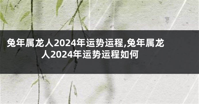 兔年属龙人2024年运势运程,兔年属龙人2024年运势运程如何