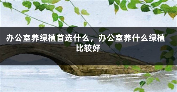 办公室养绿植首选什么，办公室养什么绿植比较好