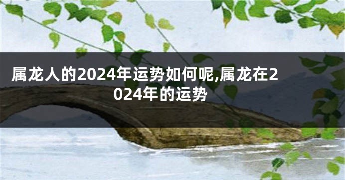 属龙人的2024年运势如何呢,属龙在2024年的运势