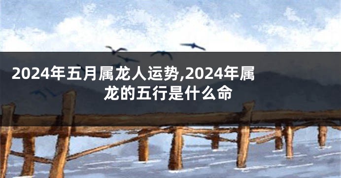 2024年五月属龙人运势,2024年属龙的五行是什么命