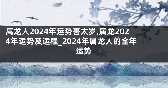 属龙人2024年运势害太岁,属龙2024年运势及运程_2024年属龙人的全年运势