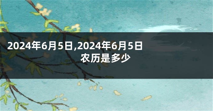 2024年6月5日,2024年6月5日农历是多少