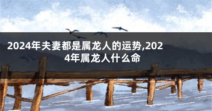 2024年夫妻都是属龙人的运势,2024年属龙人什么命