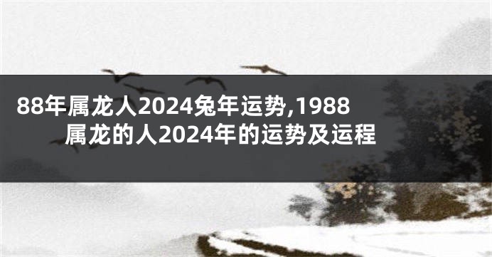 88年属龙人2024兔年运势,1988属龙的人2024年的运势及运程