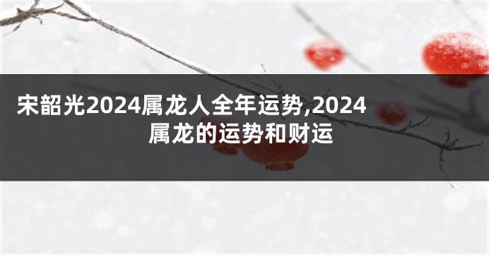 宋韶光2024属龙人全年运势,2024属龙的运势和财运