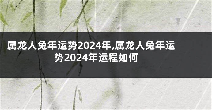 属龙人兔年运势2024年,属龙人兔年运势2024年运程如何