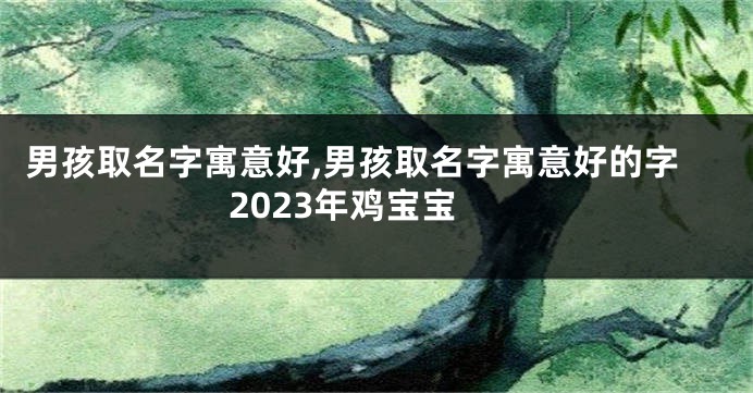 男孩取名字寓意好,男孩取名字寓意好的字2023年鸡宝宝