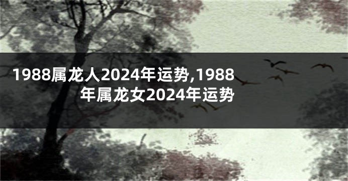 1988属龙人2024年运势,1988年属龙女2024年运势