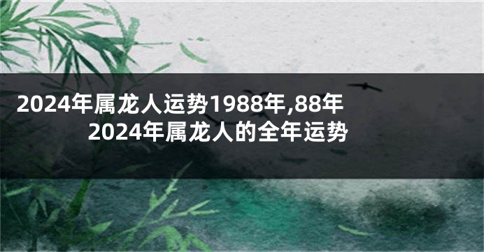 2024年属龙人运势1988年,88年2024年属龙人的全年运势