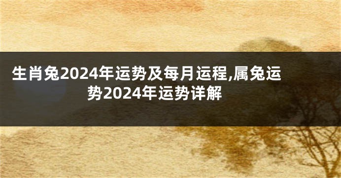 生肖兔2024年运势及每月运程,属兔运势2024年运势详解