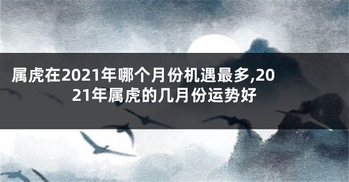 属虎在2021年哪个月份机遇最多,2021年属虎的几月份运势好