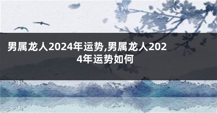 男属龙人2024年运势,男属龙人2024年运势如何