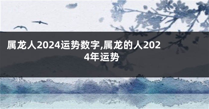 属龙人2024运势数字,属龙的人2024年运势