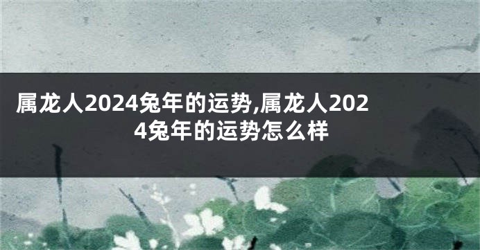 属龙人2024兔年的运势,属龙人2024兔年的运势怎么样