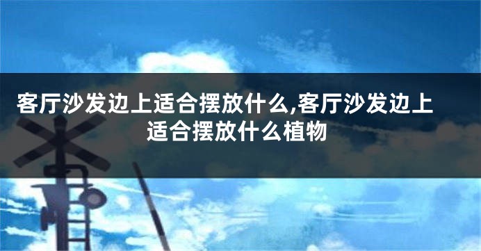 客厅沙发边上适合摆放什么,客厅沙发边上适合摆放什么植物