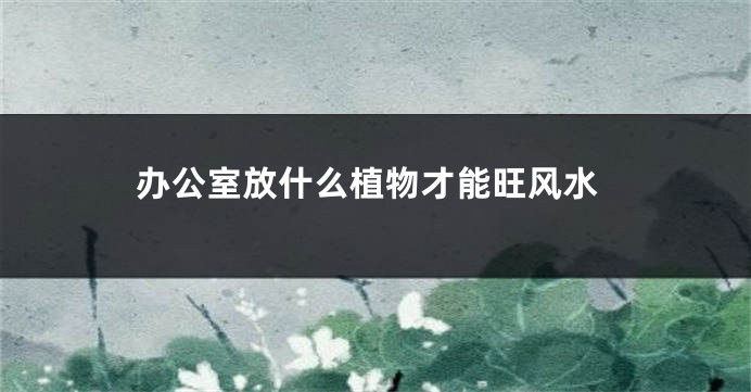 办公室放什么植物才能旺风水