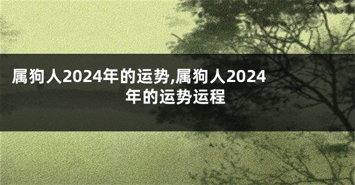 属狗人2024年的运势,属狗人2024年的运势运程