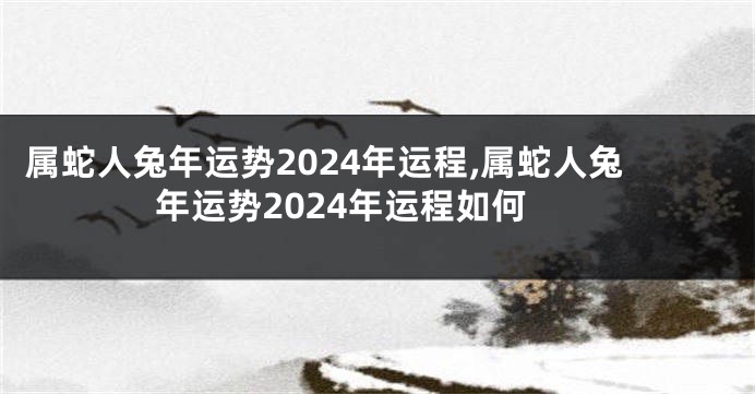 属蛇人兔年运势2024年运程,属蛇人兔年运势2024年运程如何