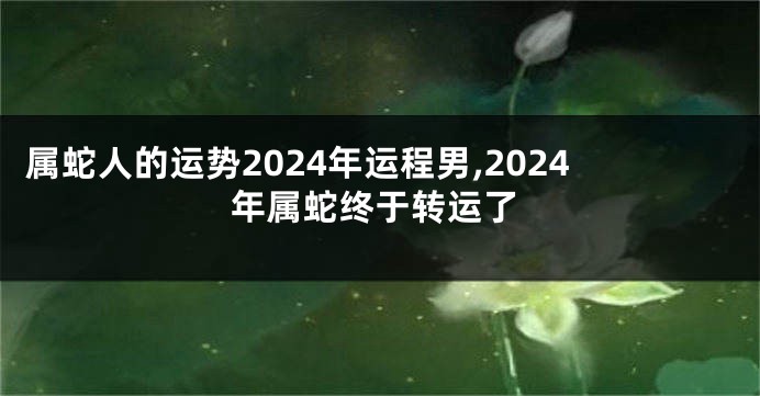 属蛇人的运势2024年运程男,2024年属蛇终于转运了