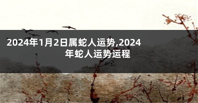 2024年1月2日属蛇人运势,2024年蛇人运势运程