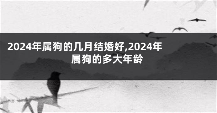 2024年属狗的几月结婚好,2024年属狗的多大年龄